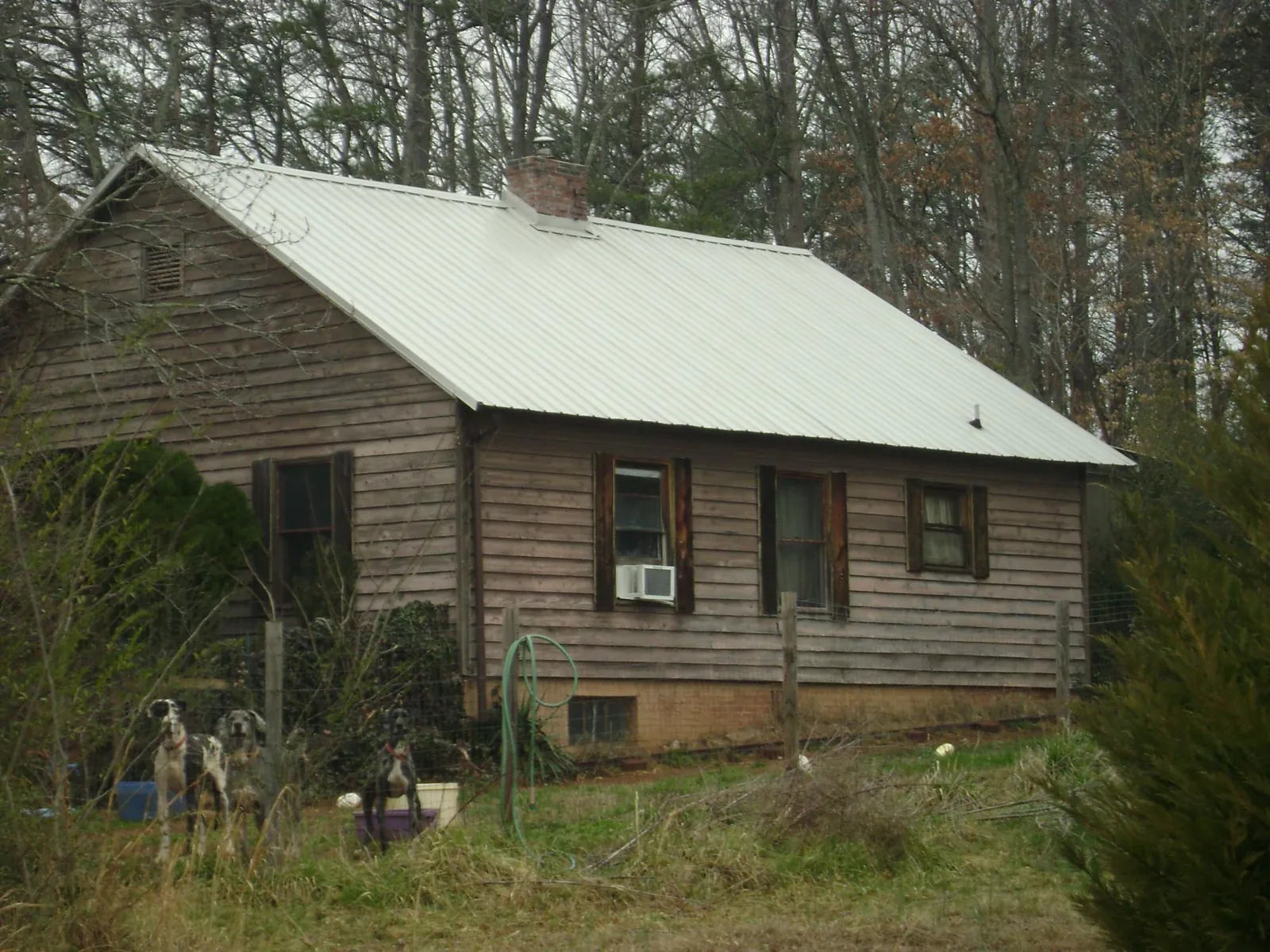 White metal roof on an old wood sided farmhouse, from a Asphalt Shingle Roof Repair job in Orem
